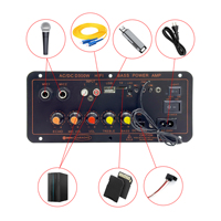 Subwoofer veya hoparlör için yüksek güç D300 100W siyah tek kanallı güç Subwoofer güç amplifikatörü kurulu