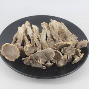 Hochwertiger getrockneter natürlicher <span class=keywords><strong>Pilose</strong></span> geweih pilz Samt geweih pilz zum Verkauf - Product Image 2