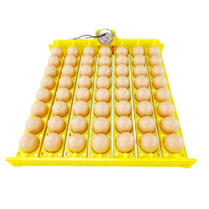 Incubateur entièrement <span class=keywords><strong>automatique</strong></span> compact, <span class=keywords><strong>fiable</strong></span> et durable pour œufs de poule, de canard et de caille, avec plateaux en PP - Product Image 4