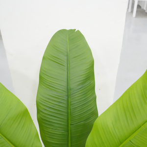 Style hawaïen grand bananier artificiel à trois tiges avec <span class=keywords><strong>intérieur</strong></span> extérieur fête de mariage en plastique bonsaï <span class=keywords><strong>plante</strong></span> - Product Image 5