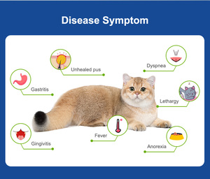Katachtige Leukemievirus (Felv) Snelle Testkit Veterinaire Teststrips Voor Katten - Product Image 6