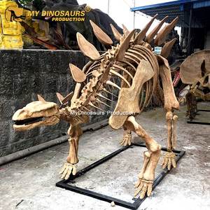 MY DINO Fósil <span class=keywords><strong>de</strong></span> Dinosaurio Jurásico, <span class=keywords><strong>Esqueleto</strong></span> Realista <span class=keywords><strong>de</strong></span> Estegosaurio en Venta - Product Image 4