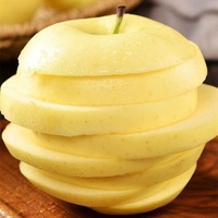 Premium verse Golden Delicious appel, gele appel, natuurlijke smaak, voor detailhandel en horeca