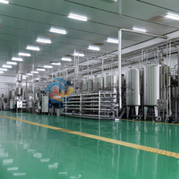 1 ~ 25 Ton/Uur Kant-En-Klare Project Automatische Complete Industriële Sappersmachine Voor Appel