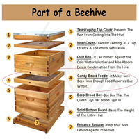 Planche d'alimentation Langstroth 10 cadres en bois massif et maille métallique pour ruche – Alimentation hivernale