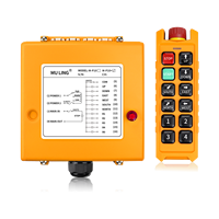 Transmetteur de télécommande sans fil ML-P10 + industriel 24V 868MHz étanche anti-choc pour AC de haute qualité avec garantie d'un an