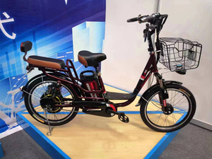 Vente en gros 350W 48V Vélo électrique <span class=keywords><strong>vintage</strong></span> 20 pouces Vélo électrique de ville pour femmes Vélo électrique avec panier - Product Image 6