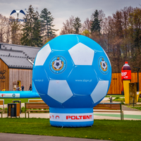 Salon commercial lançant le ballon adhésif de volley-ball et de sol d'Inflatables pour la publicité efficace