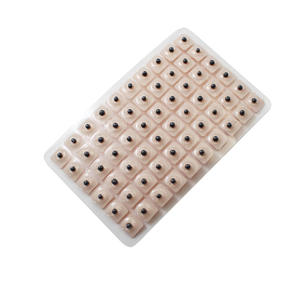 Nouveaux produits autocollants de graines d'oreille magnétiques perles d'acupuncture de <span class=keywords><strong>point</strong></span> d'oreille pour les soins de santé efficaces dans la gestion de la pression auriculaire - Product Image 2