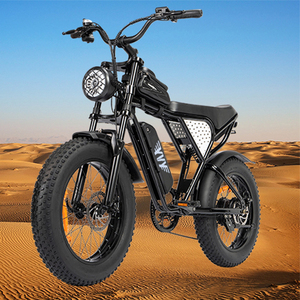 Custom Q20Mini Ebike 20" 48V 15Ah Fat Tire E Bike Dirt Mountain Full Suspension for Adults Q20 Eu US Warehouse Commute - Product Image 1