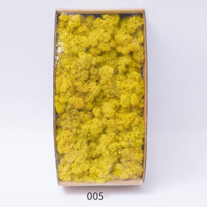 ¡Venta al por mayor! alfombra <span class=keywords><strong>vertical</strong></span> de césped musgo <span class=keywords><strong>artificial</strong></span> de color natural mezclado para decoración de paredes - Product Image 6