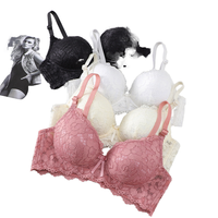 Ensemble de lingerie sexy pour fille avec dentelle froncée sur la poitrine, sans armatures, soutien-gorge sans couture respirant et culotte taille haute écologique avec logo