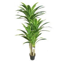 Pohon Drakaena Tropis Dalam Pot Tanaman Buatan dan Bunga Taman Lanskap & Decking Pohon Palsu Kaktus Bonsai Topiary