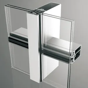 Glazen Vliesgevel Met Aluminium Frame
