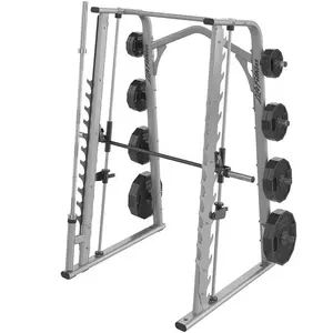 Équipement commercial de forme physique de gymnase de squat profond ASJ-DS038 la machine de smith