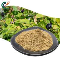Poudre d'extrait de Ginseng Sibérien (Acanthopanax Senticosus), Base Naturelle en Gros pour Mélanges de Soutien Immunitaire