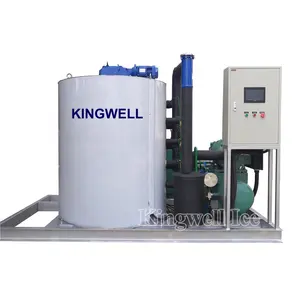 Kingwell deniz suyu/tatlı su 3ton 5ton 10ton toz buz yapma makinesi balık için
