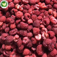 Frambuesas Congeladas XMSD LQF con Empaque a Granel, Soluciones OEM y de Marca Privada para Importadores y Marcas de Alimentos