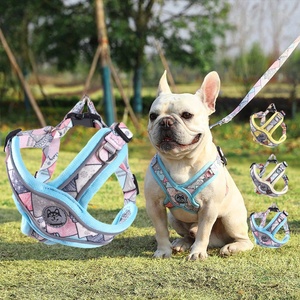 Harnais d'entraînement anti-traction pour animaux de compagnie 2026 HOT, durable, avec fermoir sécurisé, gilet réfléchissant haute visibilité, ensemble harnais et laisse pour chien - Product Image 1