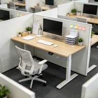 Bureau debout électrique à double moteur, bureau réglable en hauteur pour poste de travail à domicile