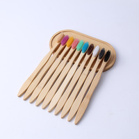 Charbon de bois 100% biodégradable écologique brosse à dents en bois à poils d'huile de ricin