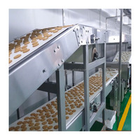 Máquina para hacer galletas Ligne De Production Biscuiterie, precio de máquina para hacer galletas, 100/H