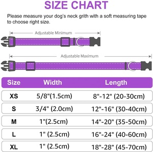 Correa de Perro Ajustable de Lujo con Acolchado de Neopreno Suave, <span class=keywords><strong>Collar</strong></span> de Perro Reflectante Personalizado, Correa de Encaje Europea de Venta Caliente - Product Image 6