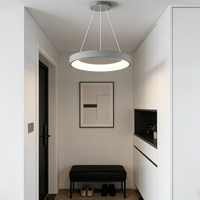 Lustre LED pour salon, design créatif circulaire, style postmoderne, simple, luminaire pour salle à manger, chambre à coucher, luminaires nordiques, taille moyenne