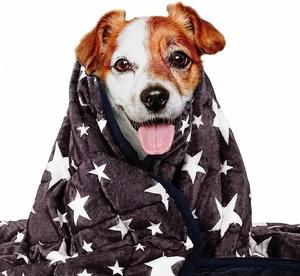 Lévrier doux lavable imperméable perles de verre lourd apaisant accessoires pour animaux de compagnie chat chien couverture pondérée pour chiens <span class=keywords><strong>anxieux</strong></span> - Product Image 2