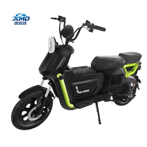 Bicicleta Eléctrica para Adultos Xunmaida, Cuadro de Acero al Carbono, 3 Velocidades, Motor sin Escobillas de 8000W 60V, Batería de Plomo-Ácido Extraíble con Freno de Disco - Product Image 1