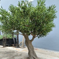 WWYG Kunstmatige Kunststof Kunstmatige Zwarte Olijfbomen 7ft 6ft Hoog Handgemaakt Ecologisch Natuurlijke Kerst Binnen- en Tuinplanten