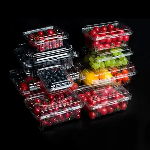 Contenedor de alimentos con tapa de cúpula, caja de embalaje de frutas y ensaladas, plástico transparente para mascotas, desechable, OEM, ODM, grabado personalizado
