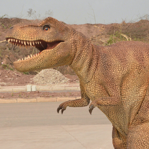 Disfraz personalizado de dinosaurio realista animatronic para adultos que caminan para actividades de centro comercial, parque temático Plaza, parque de atracciones - Product Image 3