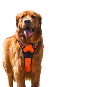 Ensemble laisse et harnais pour chat et chien de luxe personnalisable, réfléchissant, rembourré, réversible, petit, respirant - Product Image 2