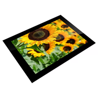 En stock Écran 3.5 pouces 240*320 Module d'affichage LCD TFT MCU SPI Écran LCD TFT 3.5 pouces