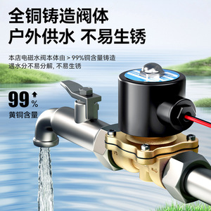 Válvula Solenoide de Cobre Normalmente Cerrada para Suministro de Agua, Uso en Exteriores, con Diafragma de Acero Inoxidable - Product Image 3