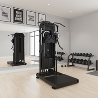 Machine à plaques DFT Commerciale sur pied multi-positions L03, à charge par broches, pour exercices de bras, épaules, poitrine et Deltoides arrière