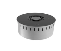 Cheminée électrique intelligente à bioéthanol avec télécommande, brûleur à flamme réelle, thermostat réglable, protection contre la surchauffe