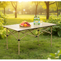 Table de pique-nique pliable en acier carbone - Plateau roulant robuste pour le camping en plein air, les barbecues et les sorties à la plage