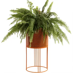 Venta al por mayor multi-capa de soporte de planta-Heart Shape 2021iron Multi Layer Outdoor Plant Rack Indoor Pot Flower Stand On A Stand
