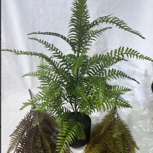 Helecho Imperador en Maceta Greenway de 70 cm, Planta Artificial con Hojas Verdes, Decoración de Interiores, Estilo Rústico, Estilo Natural - Product Image 3