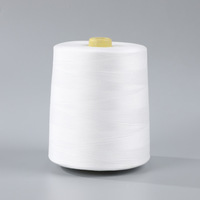 1kg carrete de hilo de coser 40/2 carretes de hilo de poliéster para coser acolchado Overlock y bordado a mano