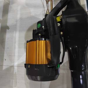 RWD 800W Integrated Shifting Tri-Motorcycle <strong>Velomobile</strong> for Women Use - Product Image 2