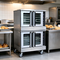 Four à convection commercial en acier inoxydable à double étage, four à air chaud pour la cuisson du pain, des pâtisseries et des gâteaux