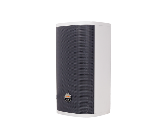 IP66 Public Broadcasting School Hospital Airport Theme Park POE Neodymium Metal Network Active Outdoor Wireless Column Speaker