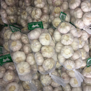 Nuovo raccolto fresco normale aglio bianco piccolo pacchetto prezzo all'ingrosso - Product Image 3