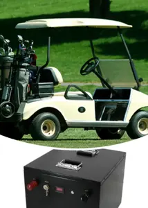 Golf arabaları için lityum iyon batarya uzun ömürlü şarj 48V elektrikli Mini araba 4 kişilik pil