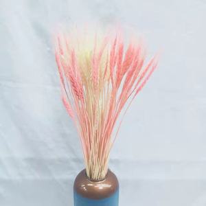 2025 la fleur de blé séchée en gros d'usine pour la décoration de maison/mariage pour <span class=keywords><strong>Bouquet</strong></span> de fleurs - Product Image 2