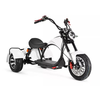 Triciclo eléctrico de tres ruedas, 1000w