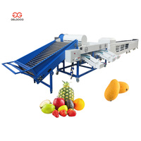 Volledig automatische fruit- en citrusgewichtsorteermachine voor verse mandarijnen en sinaasappels
